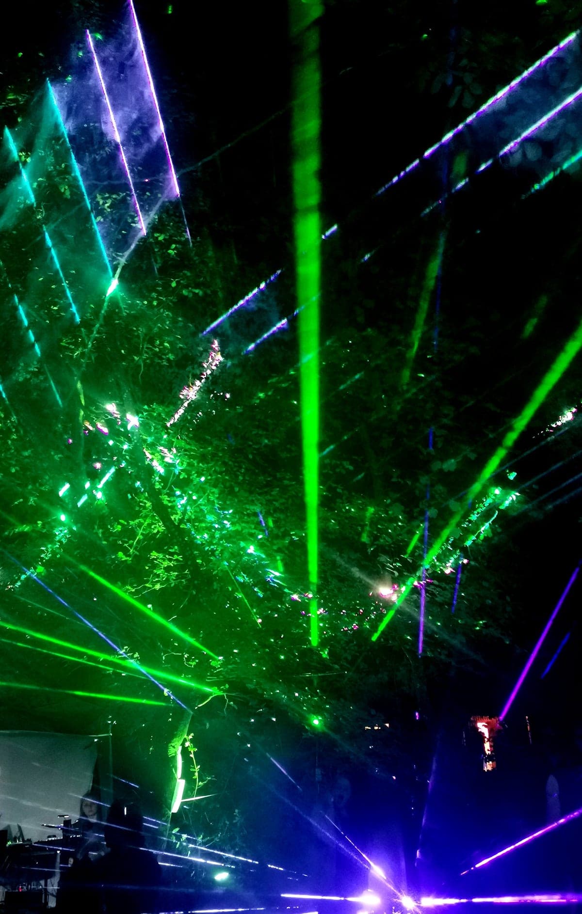 Green and violet laser beams cutting up through a forest canopy at night