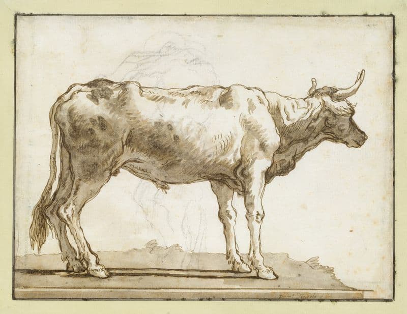 A Bullock Standing to the Right (on a Base) (ca. 1760–61) as a canvas print