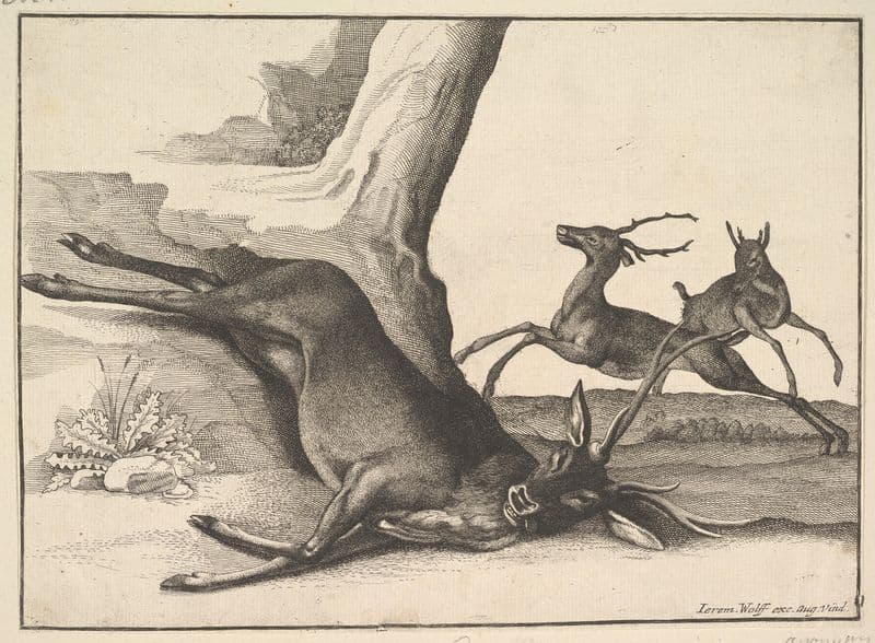 A dead stag as a canvas print