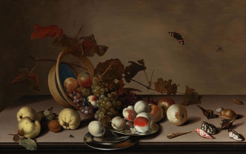 A fruit still life with a wicker basket, shells and a butterfly as a canvas print