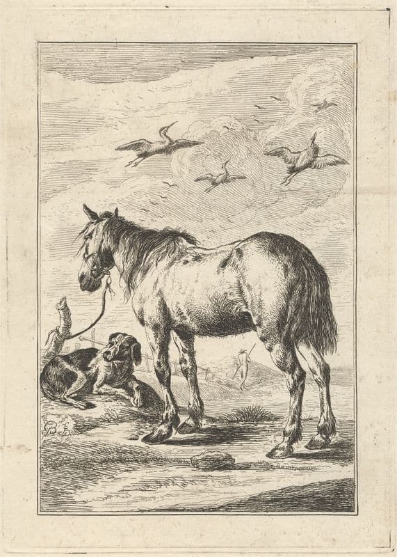 A Horse and a dog (18th Century) as a canvas print