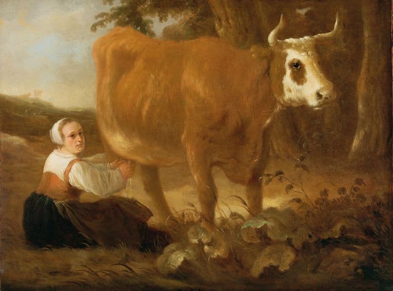 A Milkmaid With A Cow as a canvas print