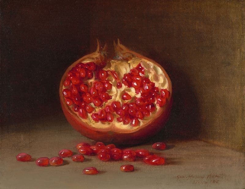 A Pomegranate, Siena as a canvas print