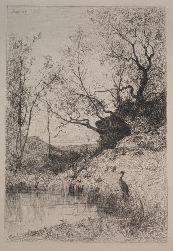 A Pond as a canvas print