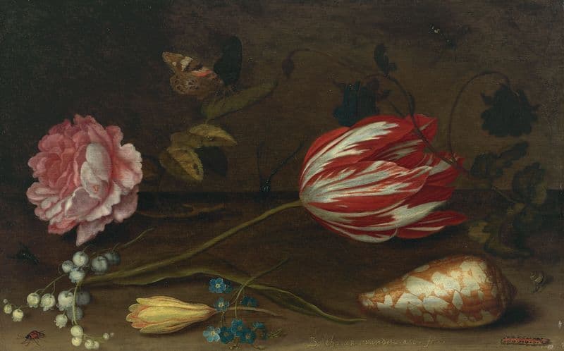 A rose, a tulip, insects, and a shell on a ledge as a canvas print
