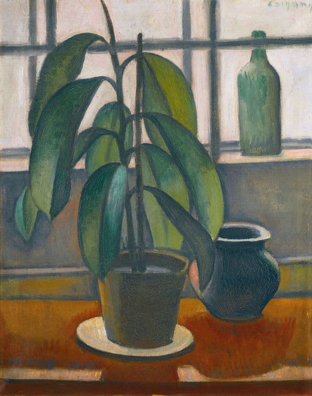 A Rubber Plant On A Window Ledge as a canvas print