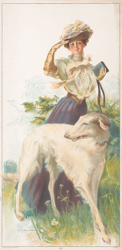 A Russian greyhound as a canvas print