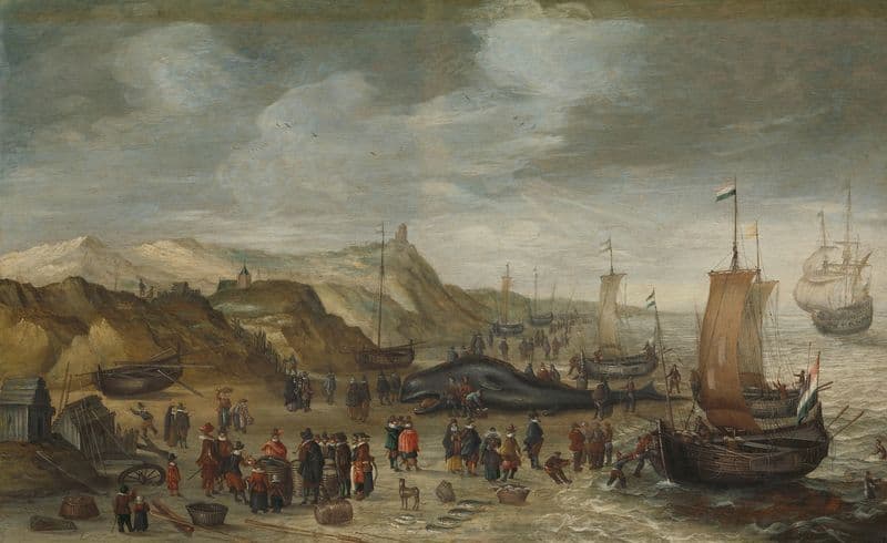 A Sperm Whale Washed up on the Beach at Noordwijk, 28 December 1614 (1614 - 1626) as a canvas print