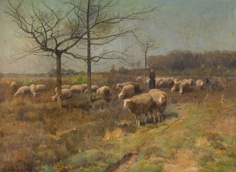 A Sunny Day in March as a canvas print
