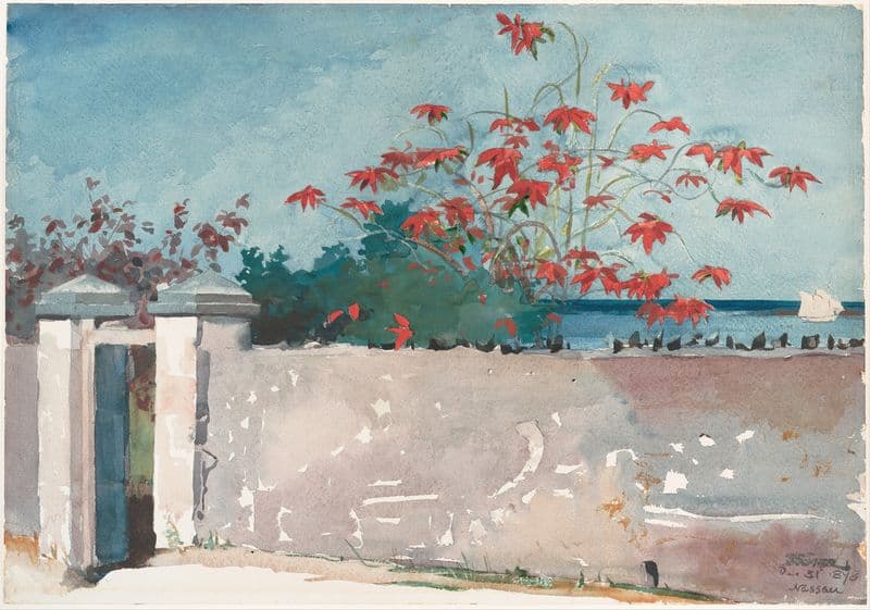 A Wall, Nassau as a canvas print