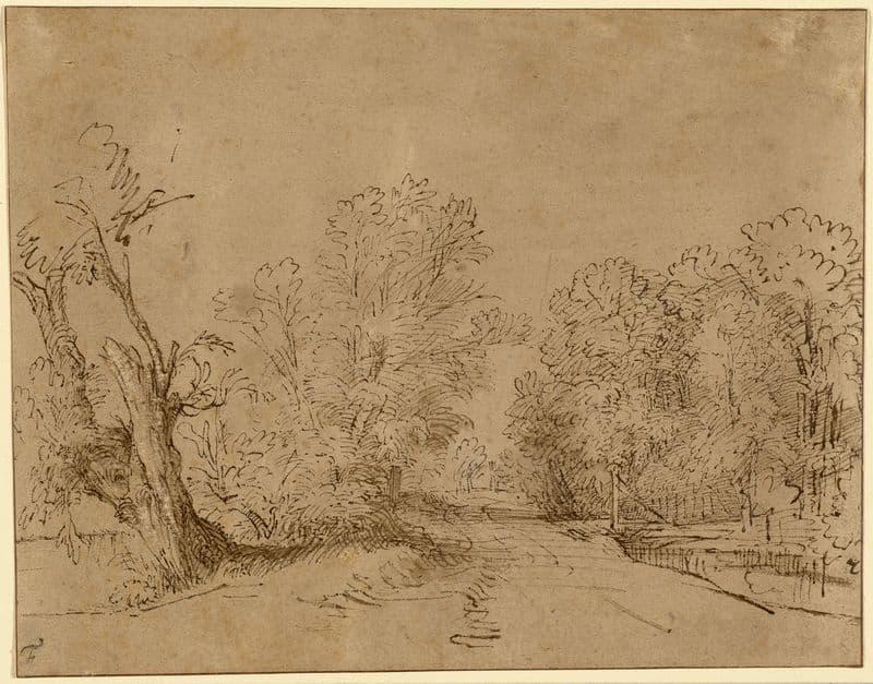 A Wooded Road as a canvas print