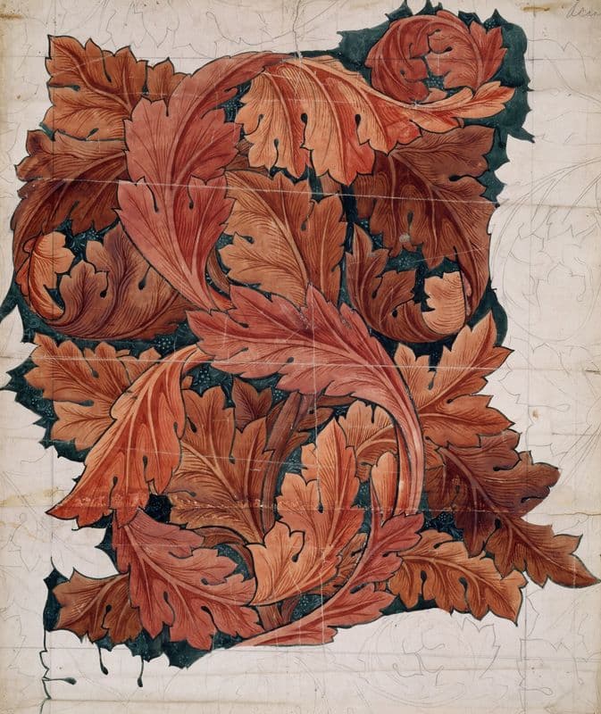 Acanthus (1879-1881) as a canvas print