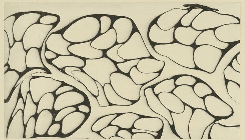 Adermarmorpapier (1903 - 1907) as a canvas print