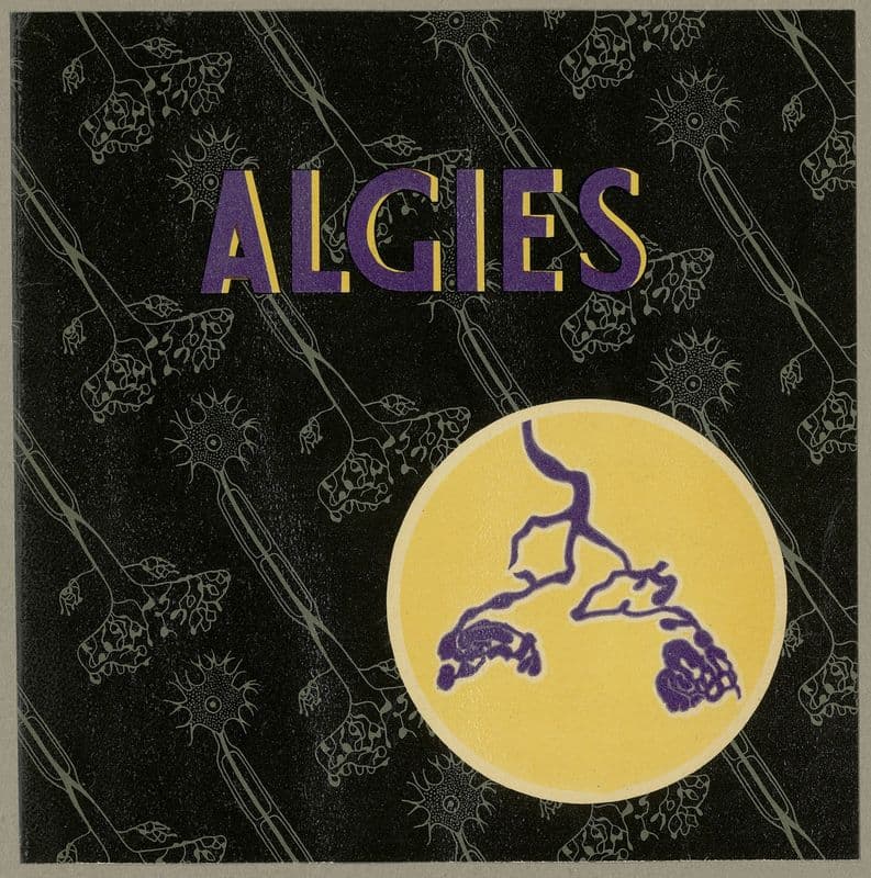 Algies ; Asciatine (1910-1950) as a canvas print