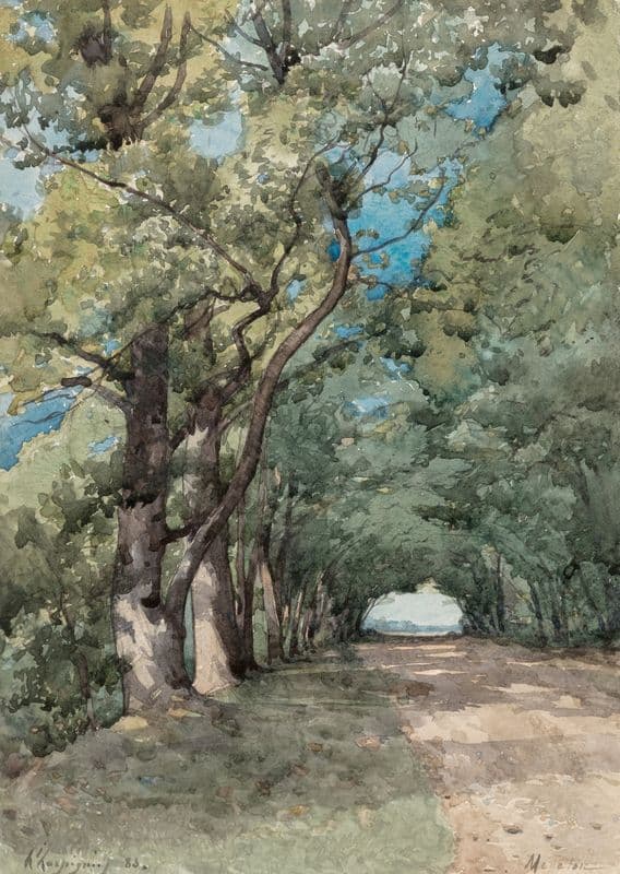 Allée sous-bois as a canvas print