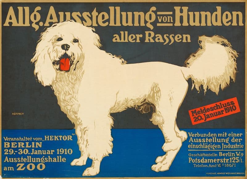 Allgemeine Ausstellung von Hunden aller Rassen as a canvas print