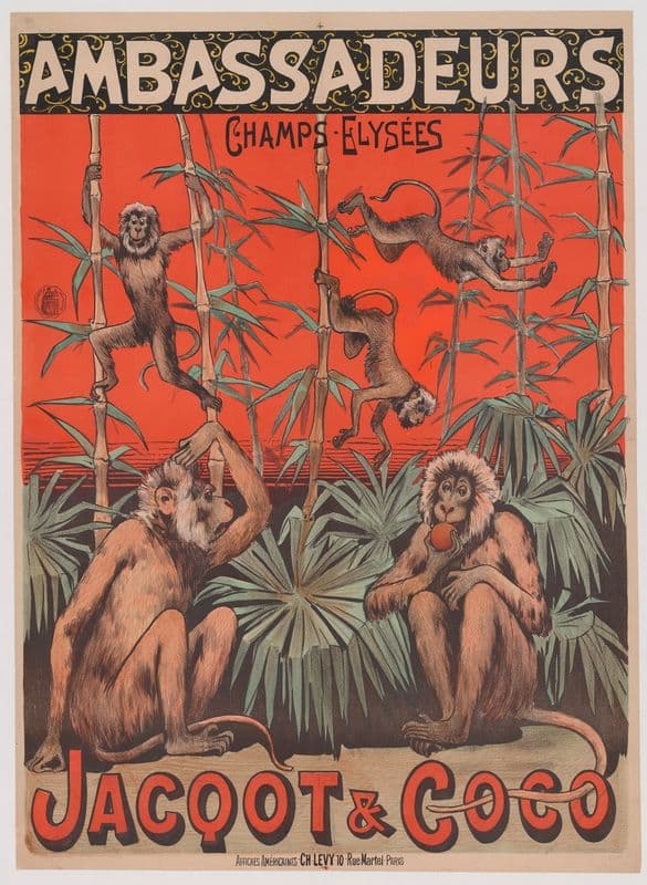 Ambassadeurs. Jacquot et Coco duo de singes (1888-1894) as a canvas print