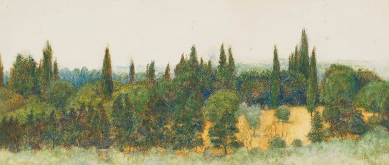 An Italian valley with pine trees as a canvas print