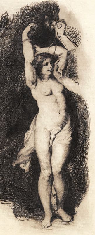 Andromeda, efter Rubens (1880 - 1881) as a canvas print