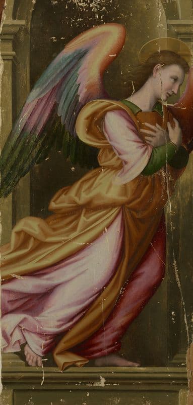Angel in Adoration (ca. 1510) as a canvas print