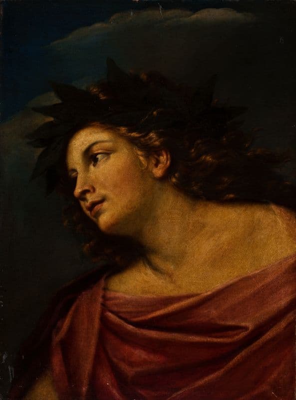 Apollo Wearing A Laurel Wreath as a canvas print