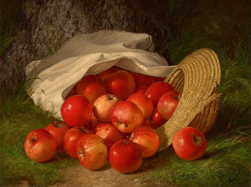 Apples as a canvas print