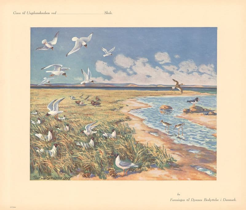 April as a canvas print