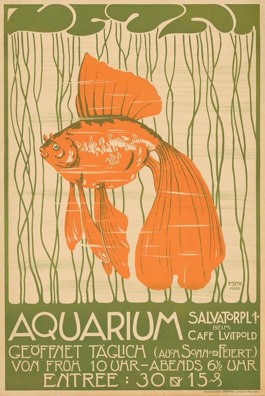 Aquarium. Salvatorplatz 1 beim Café Luitpold as a canvas print