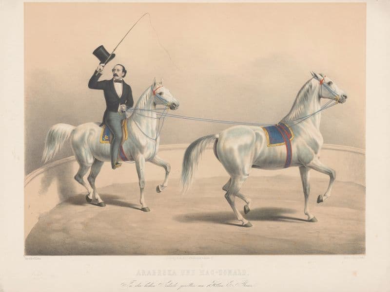Arabeska und Mac-Donald. In der hohen Schule geritten von Herrn E. Renz (19th century) as a canvas print