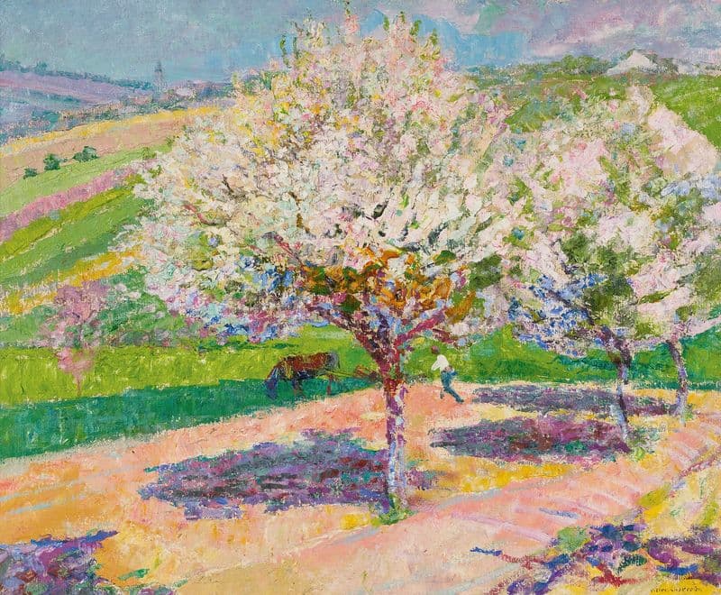 Arbres En Fleur Dans La Prairie as a canvas print