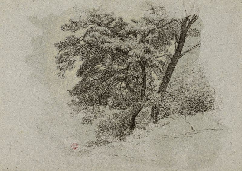 Arbres. (19th century) as a canvas print