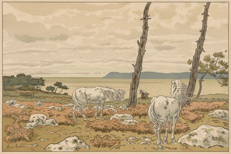 Aspects of Nature; The Bay as a canvas print