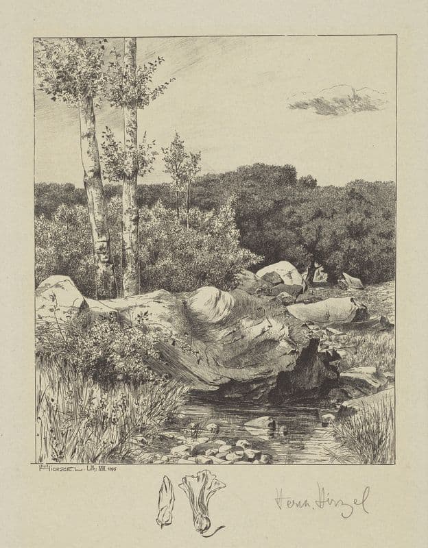 At a Stream as a canvas print