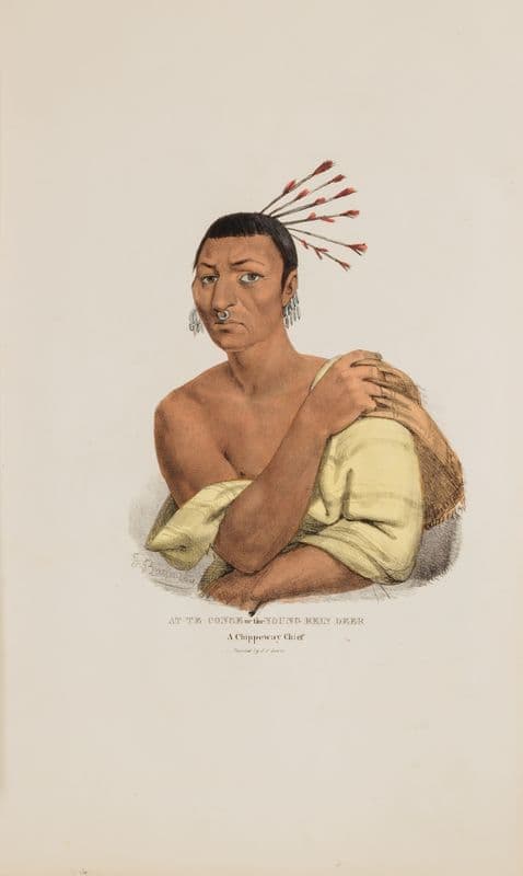AT-TE-CONSE or the Young Rein Deer; A Chippeway Chief as a canvas print