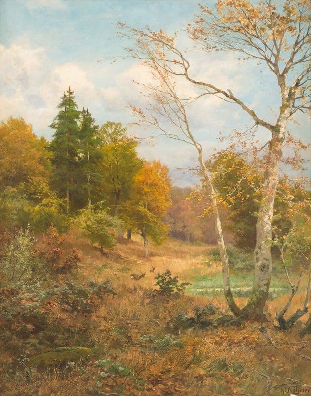 Autumn forest as a canvas print