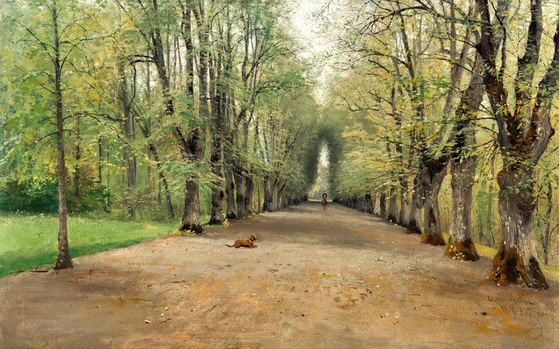 Avenue at Strömsholm as a canvas print