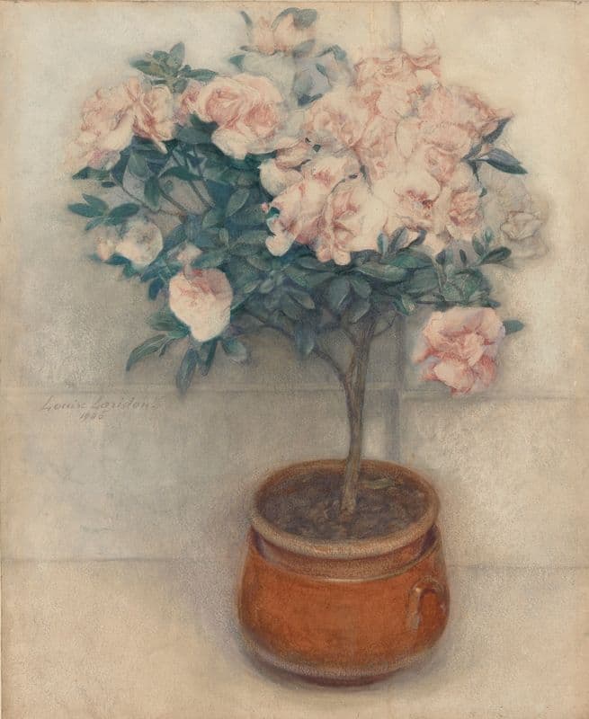 Azaleas as a canvas print