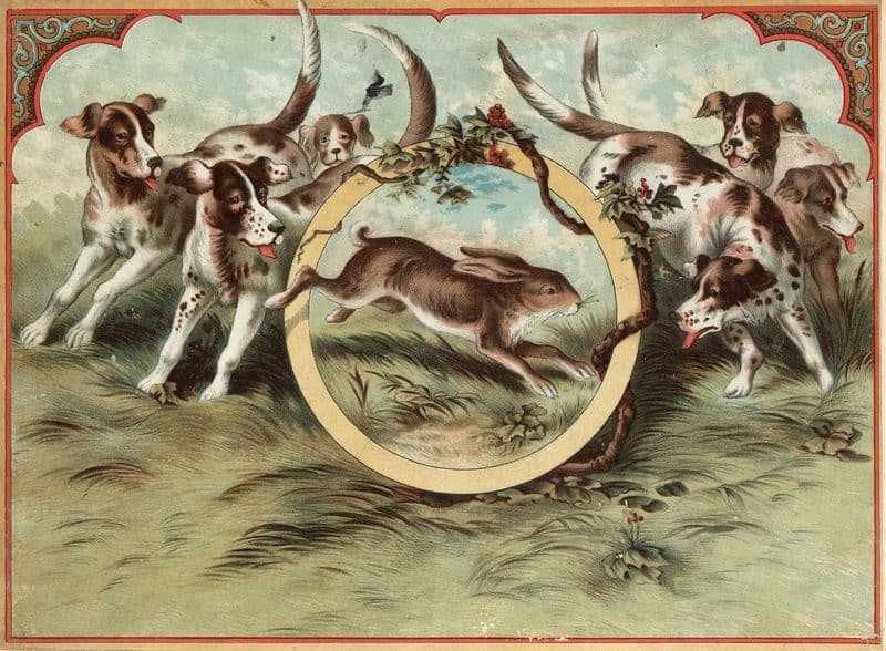 Ballad of the lost hare Pl.10 as a canvas print