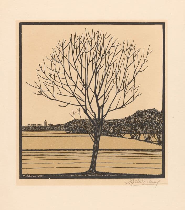 Bare tree as a canvas print