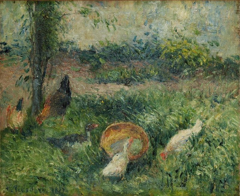 Basse-cour avec poules et canards as a canvas print