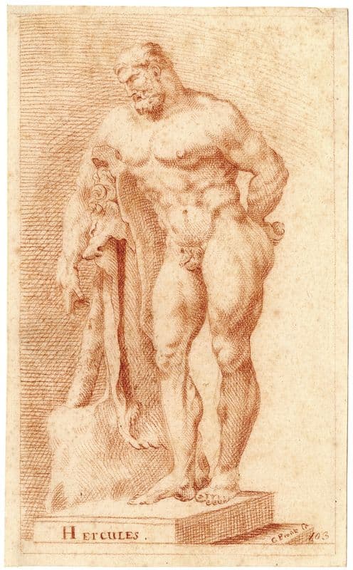 Beeld van de Hercules Farnese as a canvas print