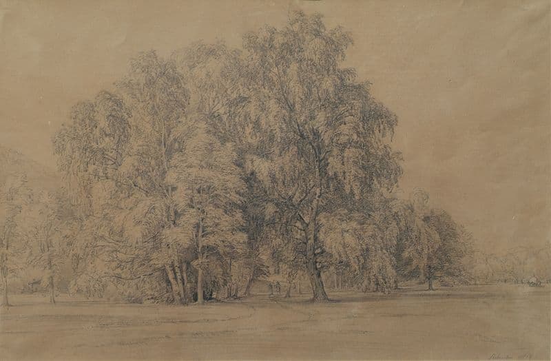Birkengruppe im Park von Schloss Seebenstein in Niederösterreich as a canvas print