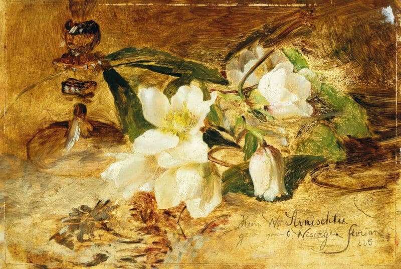 Black hellebore as a canvas print