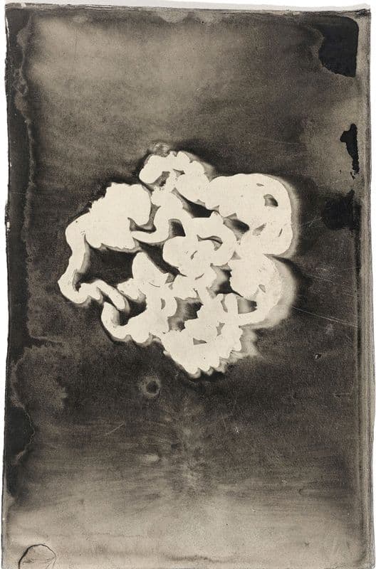 Bloem III (1874 - 1945) as a canvas print