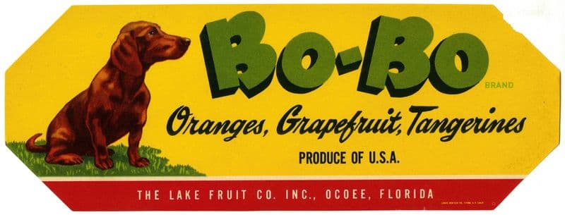 Bo-Bo Brand Citrus Label (1930-1950) as a canvas print