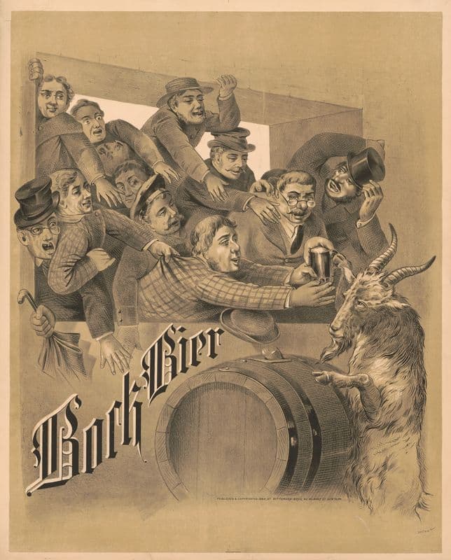 Bock Bier as a canvas print