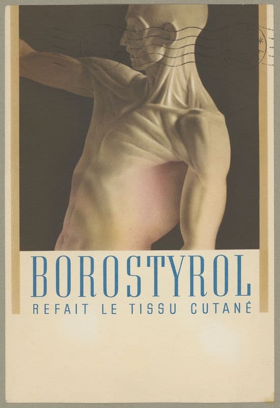 Borostyrol (1910-1950) as a canvas print