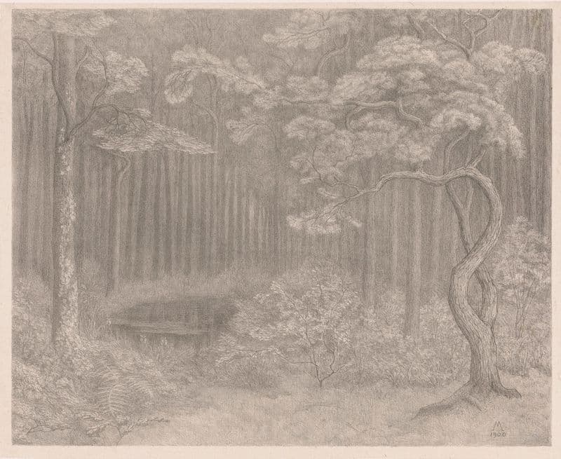 Bosgezicht as a canvas print