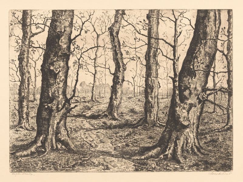 Bosrand met kale bomen (20th century) as a canvas print
