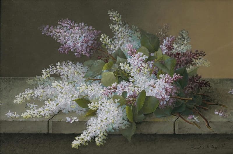 Branch of lilacs as a canvas print